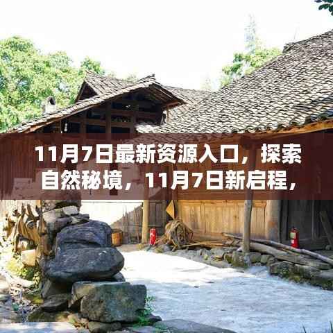 11月7日新启程,探索自然秘境,寻找内心宁静与平和的入口