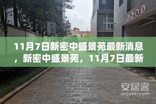11月7日新密中盛景苑最新消息回顾与深度分析