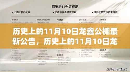 历史上的11月10日龙鑫公棚最新公告及其多维解读与个人立场观点分享