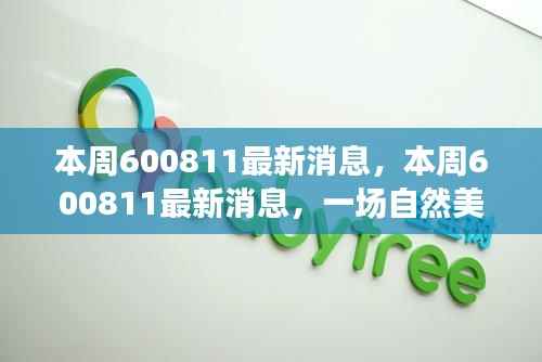 本周600811最新消息,自然美景之旅,探寻心灵宁静与平和之旅