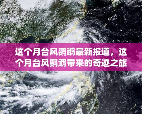 台风鹦鹉带来奇迹之旅,自然美景鼓舞人心之旅探索