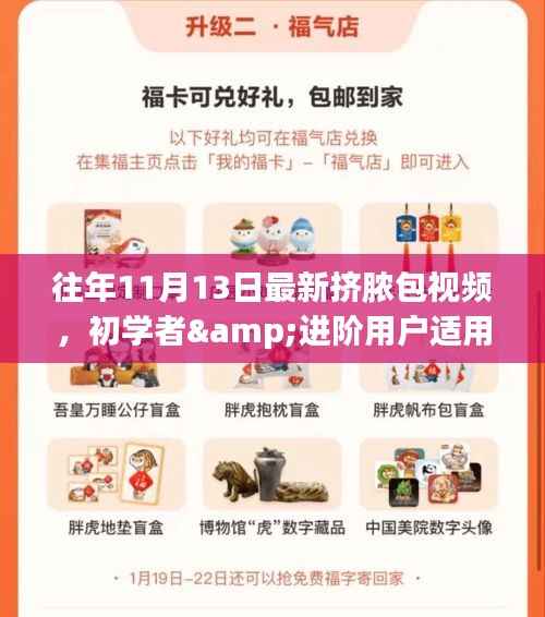 往年11月13日挤脓包视频教程,初学者与进阶用户步骤指南详解