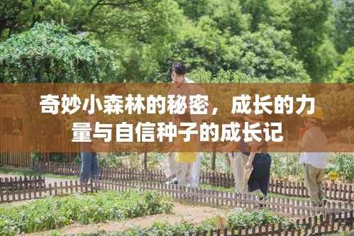 奇妙小森林的秘密,成长的力量与自信种子的成长记