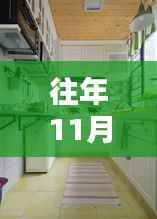 往年11月厨房装修图片精选,欣赏最新设计与DIY改造指南