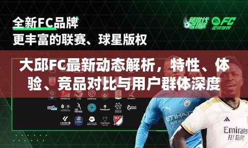 大邱FC最新动态解析，特性、体验、竞品对比与用户群体深度分析（11月14日）