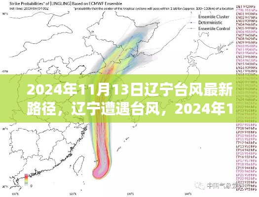 辽宁遭遇台风袭击,最新路径分析及其影响之我见(2024年11月13日)