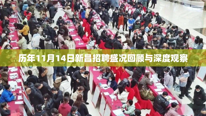 历年11月14日新昌招聘盛况回顾与深度观察