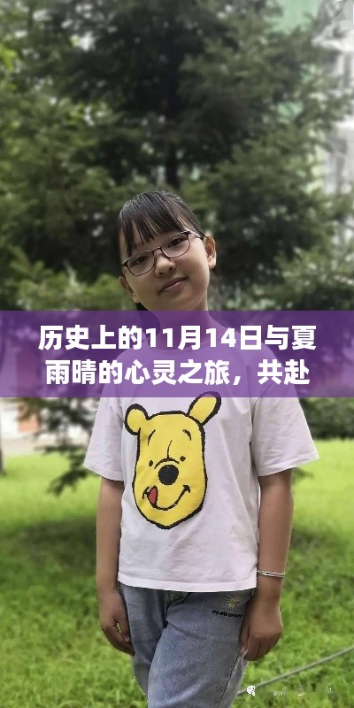 历史上的11月14日与夏雨晴的心灵之旅,共赴自然盛宴的最新章节揭秘