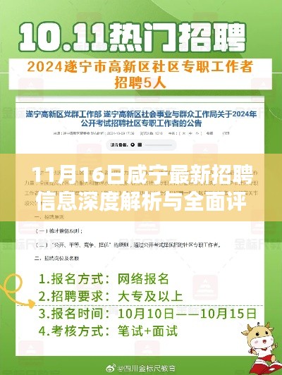 11月16日咸宁最新招聘信息深度解析与全面评测
