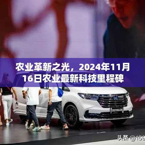 项目介绍 第572页