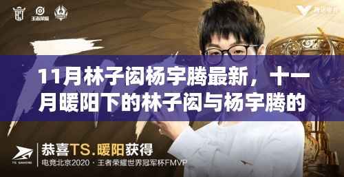 十一月暖阳下的林子闳与杨宇腾,温馨日常的最新篇章