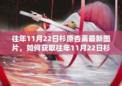 杉原杏离往年11月22日最新图片获取指南及详细步骤解析