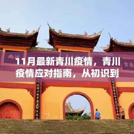全面解析青川疫情应对指南,从初识到防护,掌握最新动态迎战青川疫情