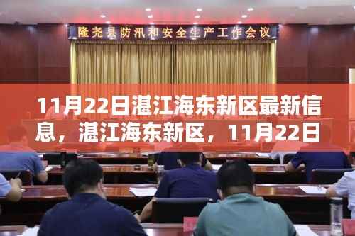 湛江海东新区,11月22日新篇章开启的最新信息