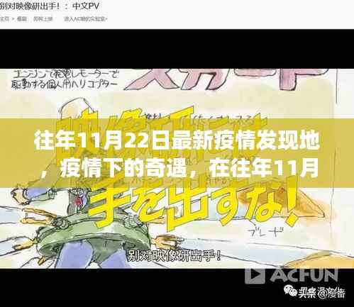 往年11月22日疫情下的奇遇,阳光角落里的最新疫情发现