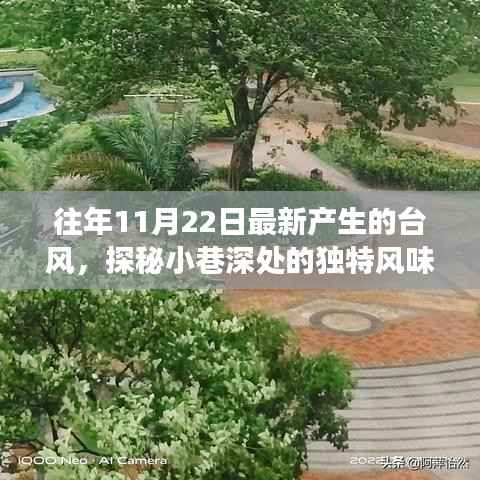探秘台风背后的故事,小巷深处的独特风味与隐藏美食,揭秘往年11月22日最新台风秘密