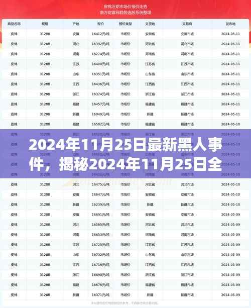 揭秘全球最新黑人事件，深度探讨背后的意义与影响（2024年11月25日最新报道）