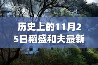 稻盛和夫与他的小巷传奇,探寻历史中的美食秘境与隐藏故事(11月25日最新)