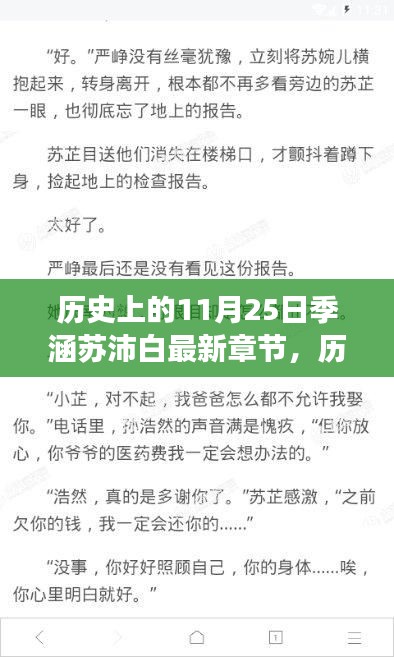 历史上的11月25日与季涵苏沛白，多维度视角下的观点碰撞最新章节探讨