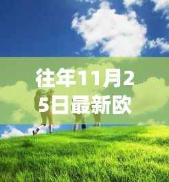 往年11月25日最新欧美双飞,欧美双飞,传统与现代交融的旅行风尚 —— 历年11月25日观察分析