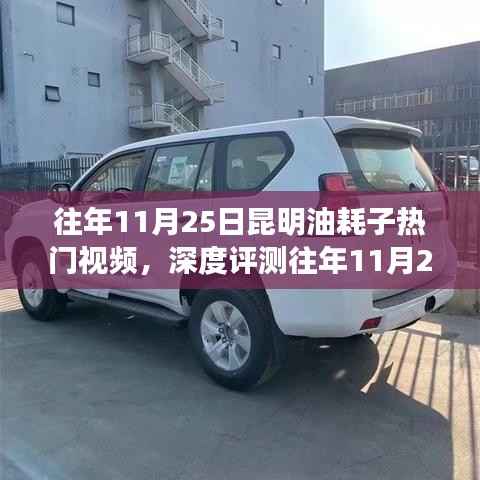 往年11月25日昆明油耗子热门视频深度解析,特性、体验、竞品对比及用户群体分析全解析