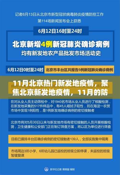 北京新发地疫情11月防控挑战与应对策略聚焦,疫情下的挑战与应对之道