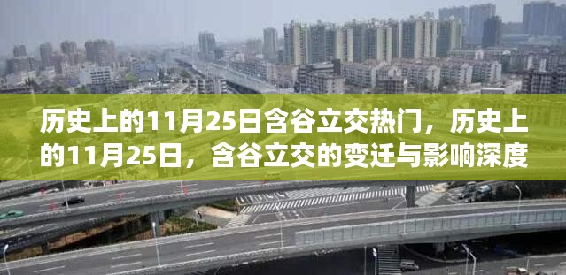 历史上的11月25日含谷立交热门,历史上的11月25日,含谷立交的变迁与影响深度探讨