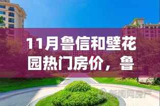 鲁信和壁花园十一月房价揭秘,奇遇中的温馨家园缘分故事