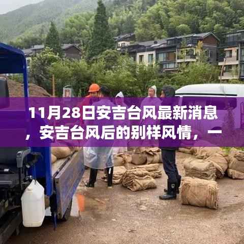 安吉台风后绿色探险之旅,寻找内心平静的别样风情之旅