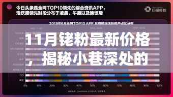 揭秘小巷深处的宝藏,探寻最新铑粉价格独特体验