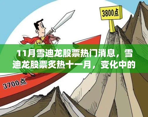 雪迪龙股票十一月热门动态,变化中学习,铸就自信成就之舞