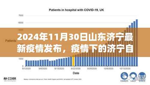 疫情下的济宁自然之旅,探索美景,寻找心灵宁静绿洲(济宁最新疫情发布)