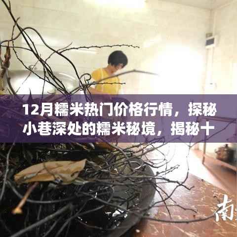 探秘十二月糯米行情与隐秘小巷的糯米秘境,热门价格行情与小店的秘密故事