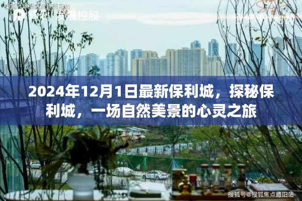 探秘保利城,自然美景的心灵之旅之旅(2024年12月版)