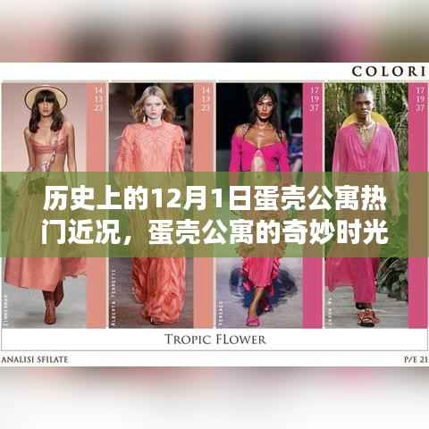 蛋壳公寓的奇妙时光,探寻自然美景与内心宁静的历史时刻(蛋壳公寓最新动态)