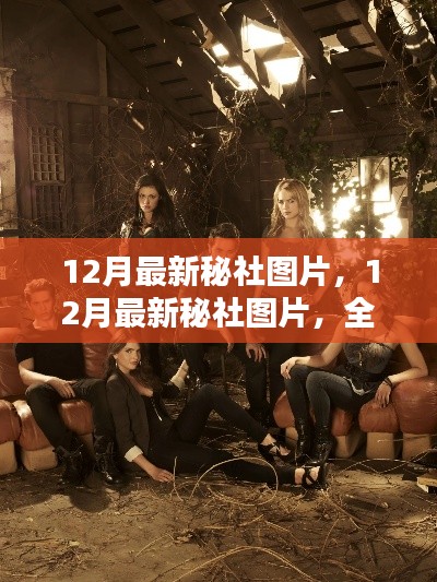 最新秘社图片大放送,全面评测与深度介绍