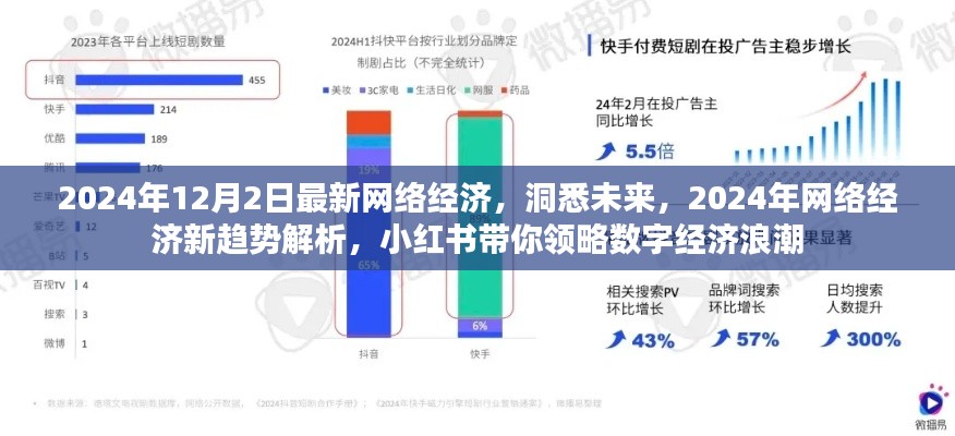 小红书解析,2024年网络经济新趋势,洞悉数字经济浪潮