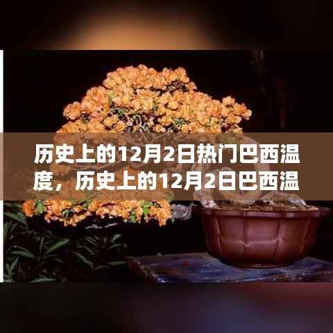 巴西历史上的12月2日温度变化,影响与观点分析
