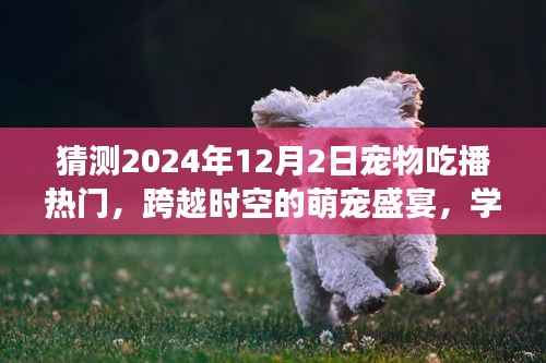 萌宠盛宴,跨越时空的励志之旅,预测宠物吃播热门趋势(2024年)