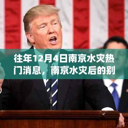 南京水灾后的别样风情,寻找内心平静的旅程之旅