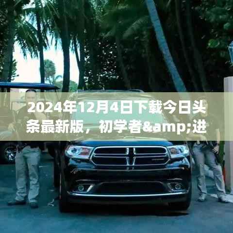 今日头条最新版下载指南,初学者与进阶用户详细步骤(2024年12月4日)