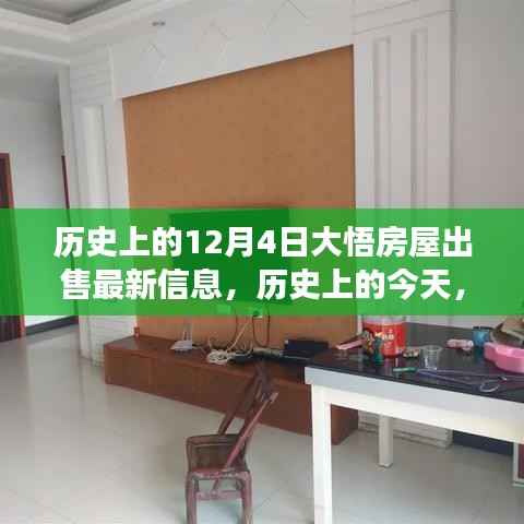 历史上的今天,揭秘大悟房屋市场最新动态,深度解读出售信息,最新房屋出售资讯一网打尽