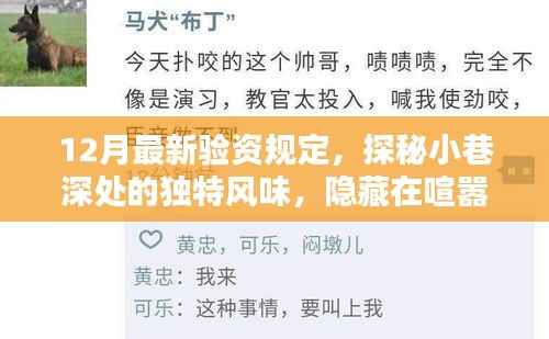 揭秘最新验资规定下的独特小巷风味与隐藏特色小店