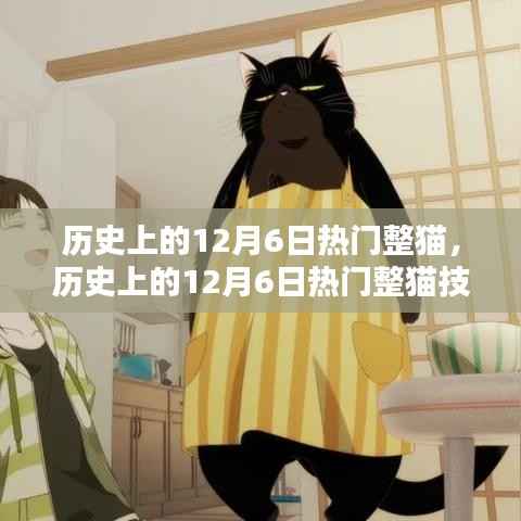历史上的12月6日热门整猫技能全攻略,新手进阶的猫奴手册