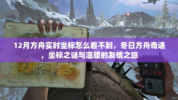 冬日方舟奇遇,坐标之谜与友情之旅的探寻