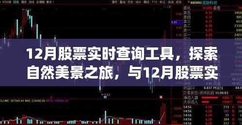 股票实时查询与自然美景之旅，探索宁静之地的完美组合