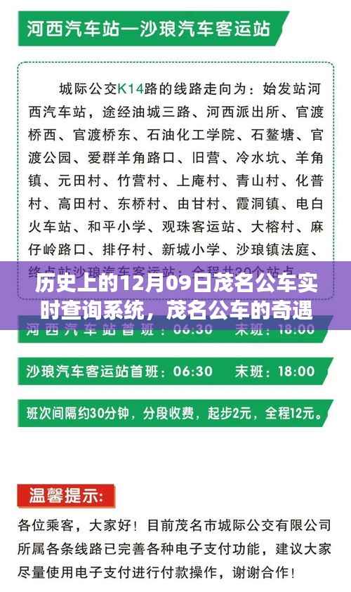 茂名公车实时查询背后的友情与技术,一个温馨故事回顾