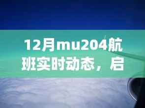 MU204航班,探寻十二月自然美景,启程心灵的平和之旅