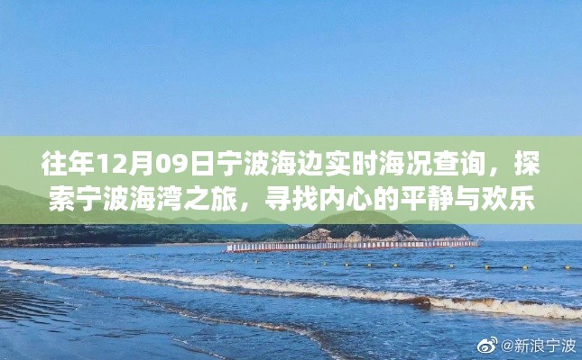 宁波海边实时海况查询,海湾之旅探寻内心平静与欢乐时光