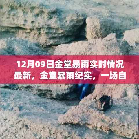 金堂暴雨纪实,自然力量与时代的印记(最新实时情况报道)